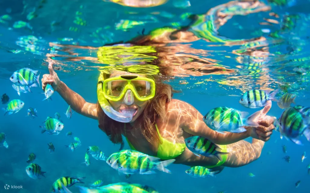 A snorkeler underwater at Saona Island