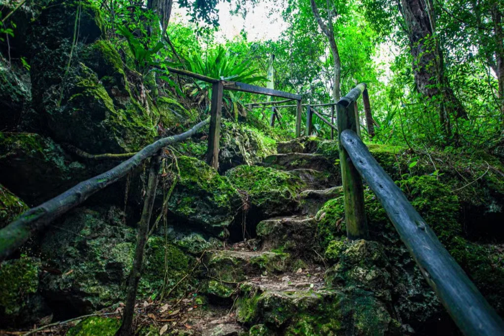 A park boundary sign at the edge of Cotubanamá National Park
