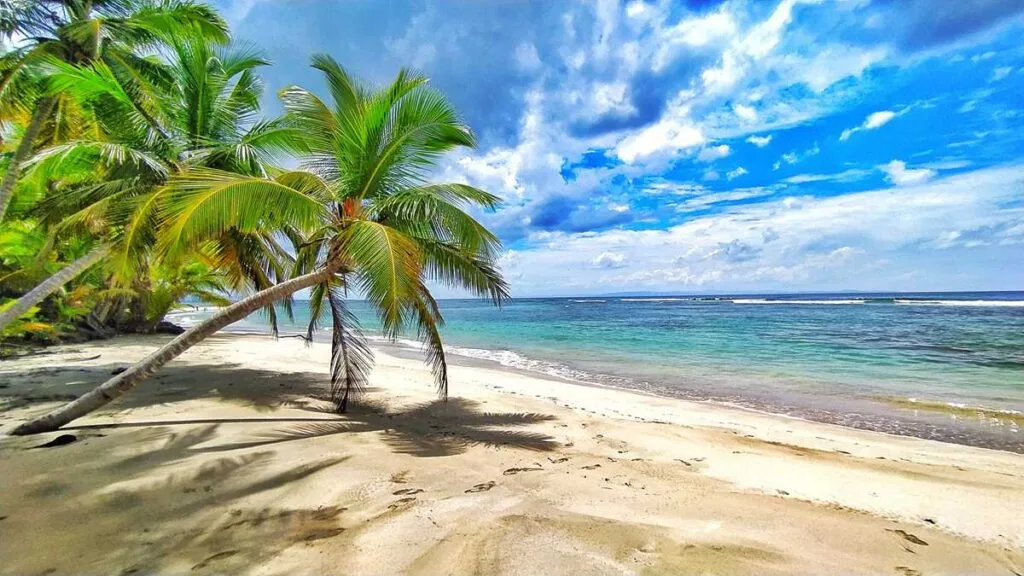 Saona Island scene 4