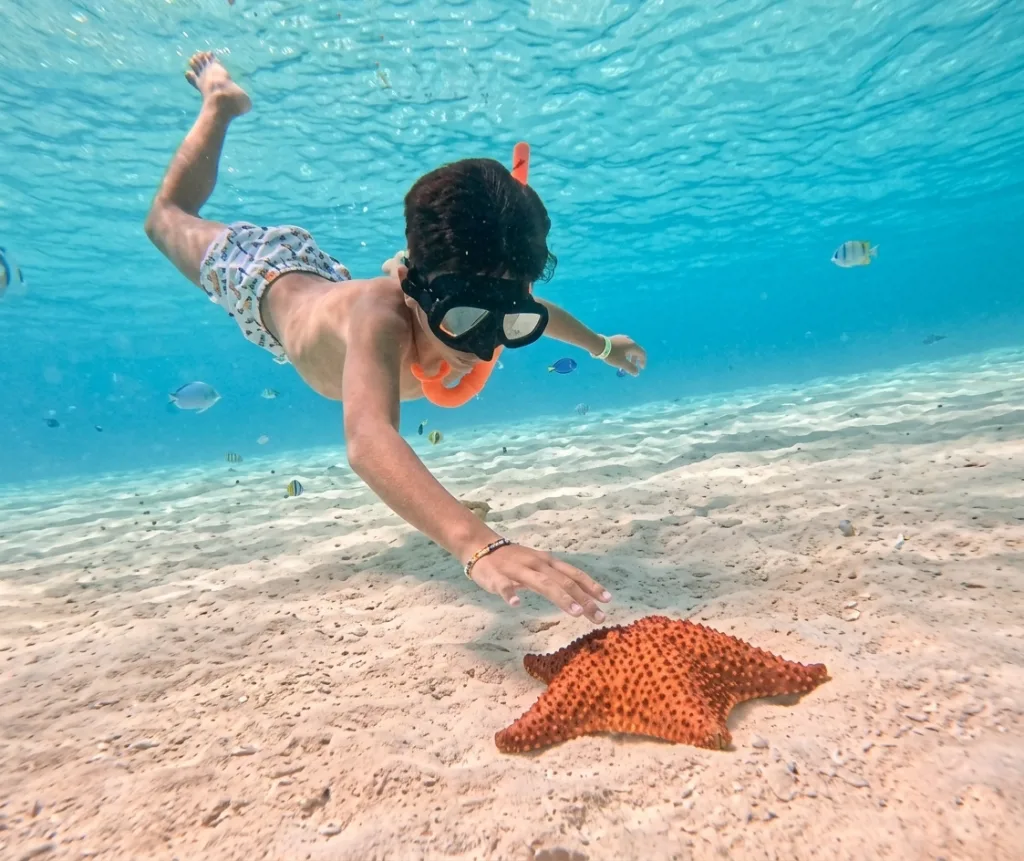 Saona Island scene 6