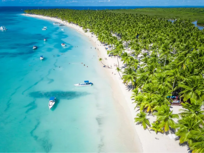 Turquoise water lapping a palm-lined Saona Island beach
