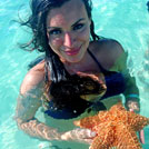 Saona Starfish